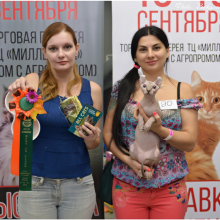 Международная выставка кошек WCF г. Сочи 15-16 сентября 2018 года