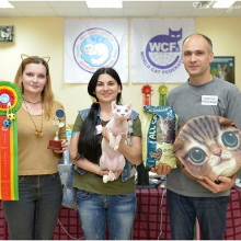 Международная выставка кошек WCF г. Сочи 12-13 мая 2018 года